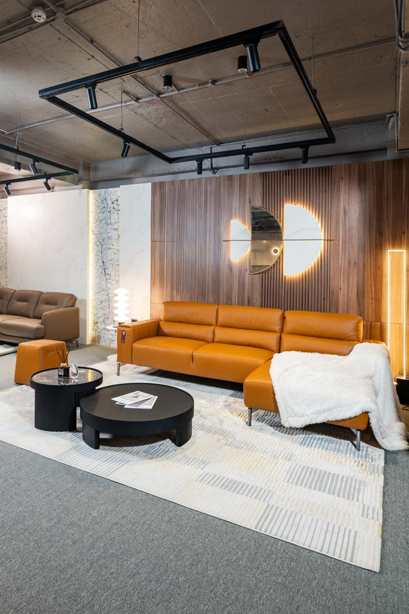 sofa-elegant-za09 (7)